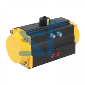 Pneumatic actuator